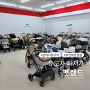 타이어할인백화점 | 강아지유모차 할인매장 펫랜드 피카고 로얄테일즈 꼼꼼비교