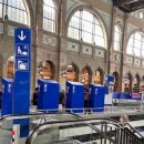 스위스장 이미지