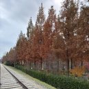 구로-구로-구로-1800 | 서울 가볼만한곳 구로 항동 푸른수목원 단풍 후기(주차,입장료 꿀팁)