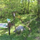 장수읍안양마을로 이미지