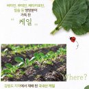 주홍목장 | [아기간식 ❣️아기 음료 추천 ❣️ 상하목장 유기농 주스]