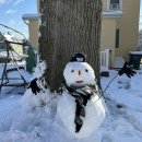 (주) 도혜 이미지