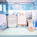 강남애견 이미지