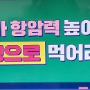 신우상회
