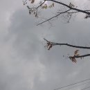 곡성-188 이미지