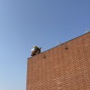 윤커피 | 동두천찐맛집 도너츠윤 디저트 커피 내돈내산 후기