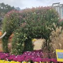 채움 | 설우채움당 찐점사 후기 2.