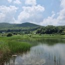 백운호수 주차장 이미지