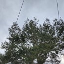 청강 | 이천(利川) 여행(청강만화역사박물관 외) 후기