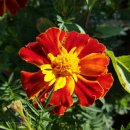 그로와펜션 이미지