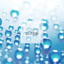 필라인 이미지