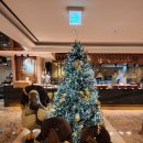 (유)형석 로얄호텔 | 번외 ∞ [임산부 혜택] 부산_롯데호텔부산 라세느 (임산부 50% 할인)