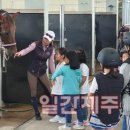 조천초등학교교래분교 이미지