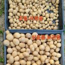 홍산농약 이미지