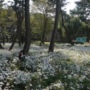 삼문송림길 네이버블로그