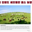 김수복농장 이미지