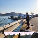 삼성호낚시슈퍼 이미지