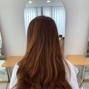 살롱드혜리