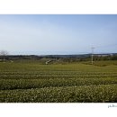 무릉도원 이미지