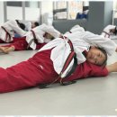 명품태권도 이미지