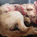 유미농장 이미지