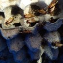 운하농장 이미지