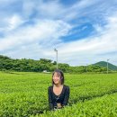 금능서시 | 제주핫플 아베베 베이커리 빵지 순례 포장 보관법 평일 주말 웨이팅