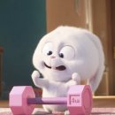 인천 헬스장 짐 메종그랑조 이미지