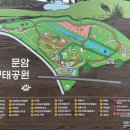 빨강놀이터 | 청주 문암생태공원 튤립 개화현황 (주차, 놀이터, 주말 방문 후기)