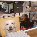 명창농장 이미지