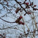 안양수리산한증원 이미지