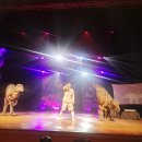 마술사 최형배의 오리지널 과한마술콘서트 공룡편 | 사이언스매직쇼 마술사 최형배의 오리지널 과학마술콘서트 공룡편 전주 아이랑