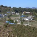 황새마을 이미지