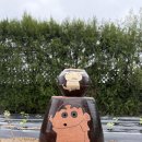 펜션 꼬모도 이미지