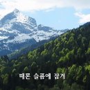 소리새~그대 그리고 나 이미지