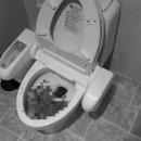 세이모텔 이미지