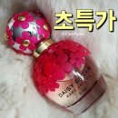데이지드림