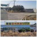 농업기술원 맞은편 이미지