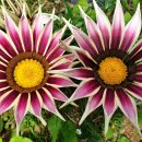 명암약수터 이미지