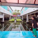 시화힐링낚시터 이미지