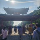 여주-0815 | 노랑풍선 일본 오키나와 3박 4일 패지키로 여행한 후기_자유일정과 츄라우미 수족관에서 돌고래쇼 관람...