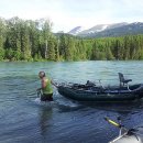 연어의추억 이미지