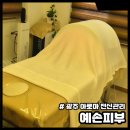 예손피부 | 광주 아로마 전신관리 예손피부