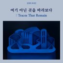 바라보다 이미지