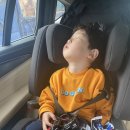 도이치모터스  제주지점 이미지