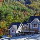 나무숲펜션 이미지