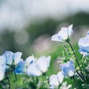 우리화원 이미지