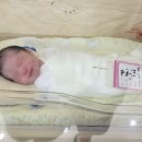 38-D | 에이치큐브 산부인과_ 38w1d 경산모 자연분만 출산 후기 🧡 (둘째는 쉽다면서요..)