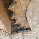 작동농장 이미지