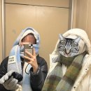 다솔상점 | 스페인에서 +6kg